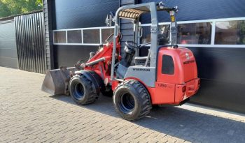 Weidemann 1250cc35 Minishovel – Bak – Vorken – Nette staat vol